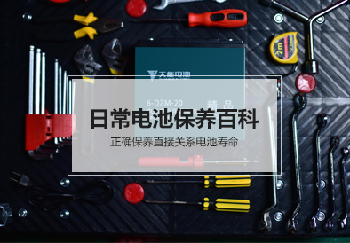 申博sunbet电池