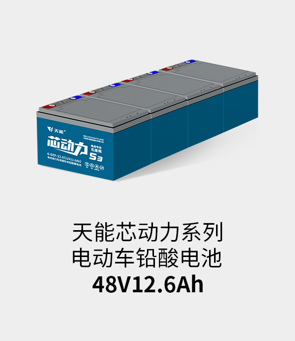 申博sunbet电池48v12ah