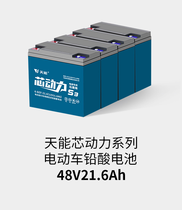 申博sunbet电池48v20ah