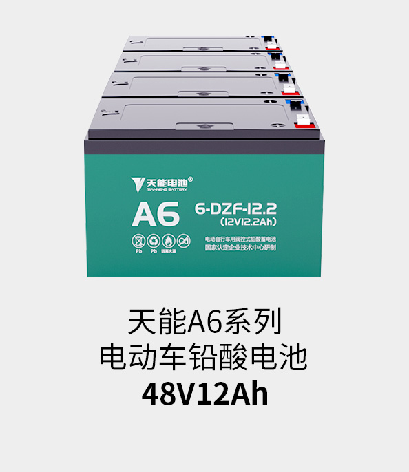 申博sunbet电池48v12ah