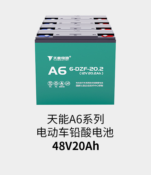 申博sunbet电池48v20ah