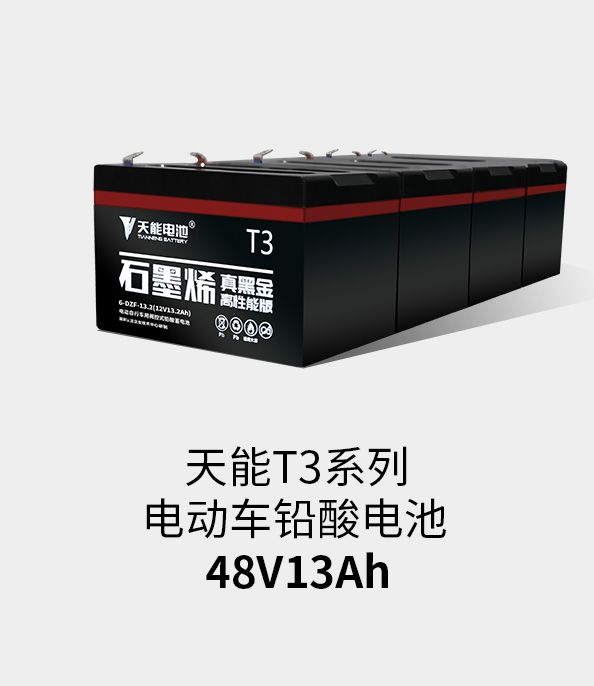 申博sunbetT3系列48v13ah