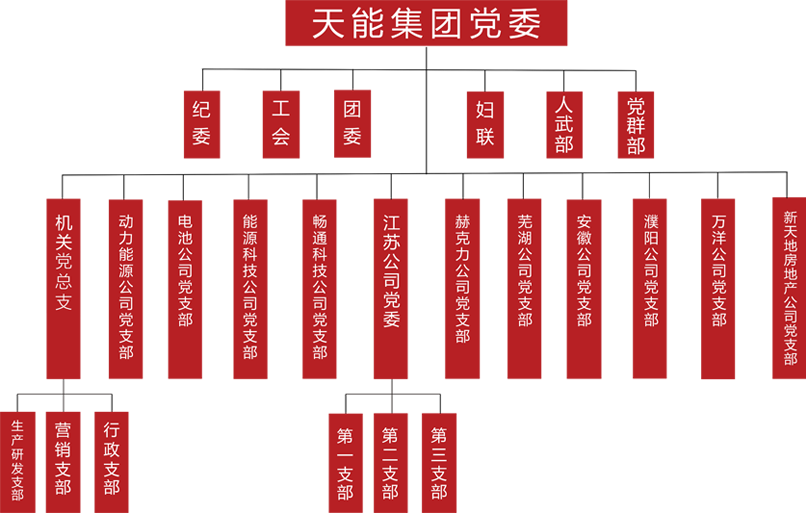 申博sunbet建团党委组织架构